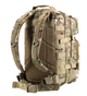 Рюкзак Assault Pack MC Mil-Tec - изображение 3