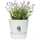 Горшок Elho greenville round 30cm белый 332259 - изображение 4