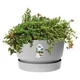 Горщик Elho greenville bowl 33cm світлий граніт 345877 - зображення 4