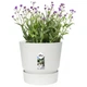 Горщик Elho greenville bowl 47cm білий 332280 - зображення 5