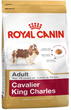 Sucha karma dla psów Karma Royal Canin SHN Breed Cavalier K C 1,5 kg (3182550743501) - obraz 1