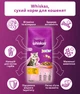 Сухий корм для кошенят Whiskas з куркою 14 кг (5900951014369) - зображення 3