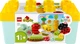 Zestaw klocków LEGO DUPLO My First Ogród uprawowy 43 elementy (10984) - obraz 1