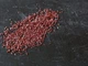 Чорниця насіння (0,1 г прибл 400 шт) (Vaccenium myrtillus) звичайна європейська лохина борівка чорничник - зображення 4