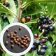 Лавровишня насіння 10 шт - зображення 3