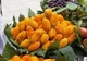 семена Момордика Индийский огурец 1г Семена Украины - изображение 1