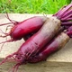 семена Свекла Карилон 25г Rijk Zwaan - изображение 2