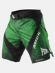 Шорты для MMA Immortal Fightshorts Green Lantern S Цвет Зеленый (401001-478-S) - изображение 1