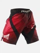 Шорти для єдиноборств Immortal Fightshorts Red Burn XS Колір Червоний (401001-318-XS) - зображення 2