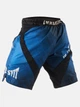 Шорти для єдиноборств Immortal Fightshorts Dark Marine XS Колір Синій (401001-224-XS) - зображення 2
