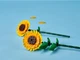 Lego Iconic Соняшники 40524 - зображення 6
