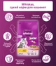 Упаковка сухого корма для котят Whiskas с курицей 300 г х 6 шт (5900951356339) - изображение 4