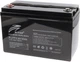Аккумуляторная батарея Ritar LiFePo4 R-LFP 12.8V 100Ah (R-LFP12.8V100Ah) - изображение 1