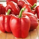 Семена Перец сладкий Звезда востока красная, 0,25 г (GL Seeds) - изображение 3