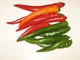 Семена Перец острый Бараний рог, 0,25 г (GL Seeds) - изображение 2
