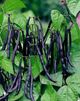 Фасоль чёрная Selecta (Poroto Negro) 500г без ГМО и глютена (573/500) - изображение 8