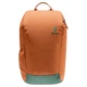 Рюкзак Deuter Stepout 16 л chestnut-ivy 3815123 9206 - зображення 7