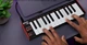 AKAI Professional LPK25, USB-контролер MIDI-клавіатури з 25 чутливими клавішами синтезатора для Mac і ПК, арпеджіатором і музичним програмним забезпеченням - зображення 2