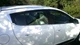 Нижняя окантовка стекол (HB, 6 шт, нерж.) для Renault Megane III 2009-2016 гг - изображение 2