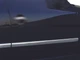 Молдинг дверной (4 шт, нерж) Carmos - Турецкая сталь для Volkswagen Passat B5 1997-2005 гг - изображение 3