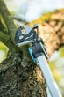 Высоторез с пилой и телескопической ручкой 2м Ideal Cellfast - изображение 8