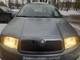 Зимняя накладка на решетку радиатора Матовый для Skoda Fabia 2000-2007 гг - изображение 2