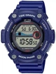 Мужские часы CASIO WS-1300H-2AVEF - изображение 1