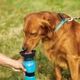 Портативна пляшка-поїлка для собак у дорогу СТ 550мл (Aqua Dog, блакитна) - зображення 3
