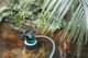 Шланг Metabo всасывающий 7 м 1" (25 мм) - изображение 5