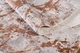 Сучасний килим Sanat Resim 2.4х3.4м. TERRA COKEN_A_GRI 2067 - зображення 11