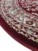 Класичний килим з іранським дизайном Iranian Star 2.5х3.5 м. Овал RED 3419B - зображення 4