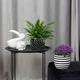 Горщик-кашпо для рослин MBM HOME DH-FLOWERS-27 BLACK чорний - зображення 6