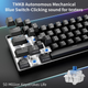 Механическая игровая клавиатура Dierya 60% с механическими переключателями Clicky, Type-C, 61 клавиша (раскладка ENG-UA, QWERTY) черный - изображение 6