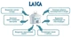 Фильтр-кувшин Laica AIDA Line зеленый - изображение 3