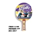 Ракетка для настольного тенниса Atemi 300 Черный/Красный - изображение 2