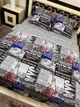 Постільна білизна бавовняна Місто Євро Простирадло на гумці 160x200х20 Бязь Сіра 70 х 70 - зображення 6