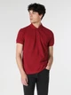 Поло длинное мужское Colin's CLTKTTSHM0766200DRE M Dirty Red (8683197646521) - изображение 1