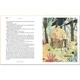 Arcturus Peter Pan (Slipcase Edition). Leire Salaberria, J. M. Barrie. ISBN:9781788883795 - зображення 2