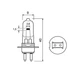Лампа галогенна Osram 64260 M/185 30W 12V PG22 - зображення 5