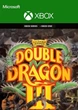 Ключ активации DOUBLE DRAGON Ⅲ: The Sacred Stones для Xbox One/Series - изображение 1