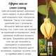 Набір ефірних олій "Афродизіаки. Аромати кохання" для чоловіків та жінок (олії неролі/шавлії/гвоздики/іланг-іланг) - зображення 6