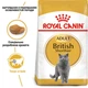 Royal Canin British Shorthair Adult сухий корм для котів 2 кг + 400 г - изображение 2