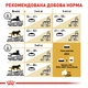Royal Canin British Shorthair Adult сухий корм для котів 2 кг + 400 г - изображение 6