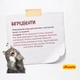 Сухий корм для кошенят Josera Kitten 2 кг - домашня птиця - изображение 3