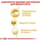 Сухий корм для дорослих котів Royal Canin MAINECOON ADULT породи мейн-кун 10кг - зображення 4