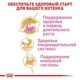 Cухой корм Royal Canin Maine Coon Kitten - для котят породы Мэйн Кун до 15 месяцев, 2 кг (2558020) - изображение 6