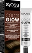 Тонуючий бальзам без аміаку для волосся SYOSS Color Glow Насичений Каштановий 100 мл (9000101679403) - зображення 1