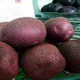 Картопля насіннєва (посадкова) Містерія. Середньостиглий, 1 репродукція 10 кг. Врожай 2022 року. - зображення 2