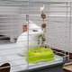 Клетка для кроликов и морских свинок Ferplast Rabbit 100 95х57х46 см Серая (57052070) - изображение 8