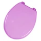 Сиденье с крышкой для унитаза Bathlux Flor de clasico 50139, круг с крышкой на унитаз, сидушка на туалет (F_132587) - изображение 2